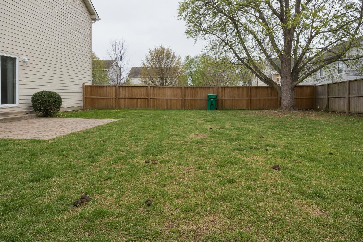 Same backyard with scattered dog waste before a SCOOP COP visit